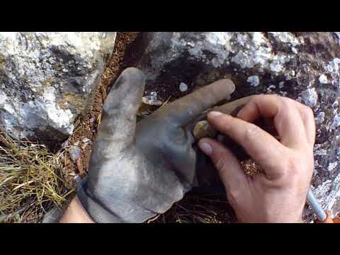 Kaya Oymasından Altın Paralar Çıkardım !!!