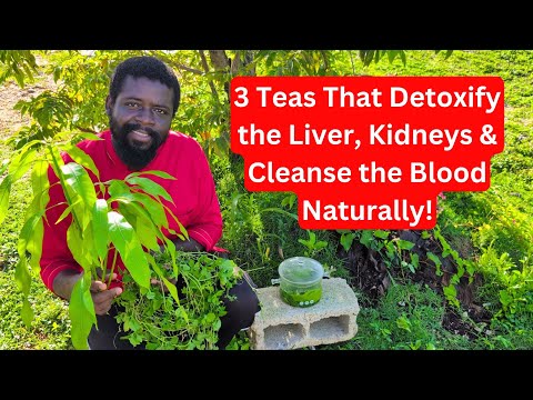 🌿 3 Powerful Herbal Teas to Detox Your Liver, Kidneys & Blood Naturally | Cleansing for Total Body