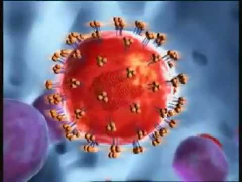 HIV Replication — Medical Animation