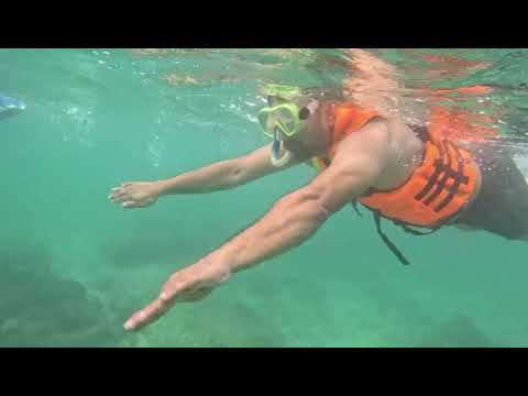 Mirissa Coast & Marine Tour Highlights