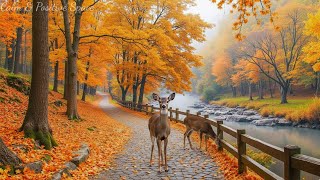 Beautiful Relaxing Music 🍂 Autumn Melodies for Stress Relief & Healing