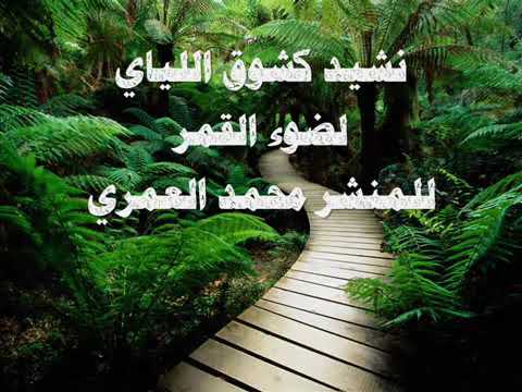 ilahi🌸arabe🗣🌸shum e bukur📚