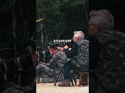 Birdwatching no Lajedo dos Beija-Flores | Boa Nova