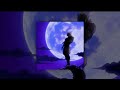1 Hour La Leçon Particulière TIkTok Slowed Reverb Best Part