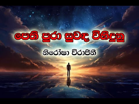 Pethi Pura Suwanda Vihidunu Karoke by Cham