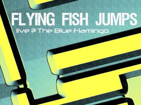 FLYING FISH JUMPS - LIVE @ Blue flamingo Festival - Lost In A Dream
