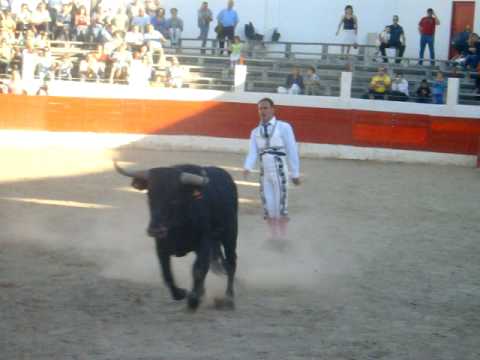 recortadores,toros,Guy Jumps Over a Bull,toromania,bullfighting,4
