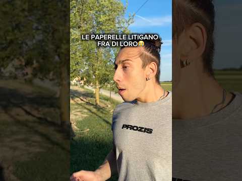 Le papere litigano fra di loro😭