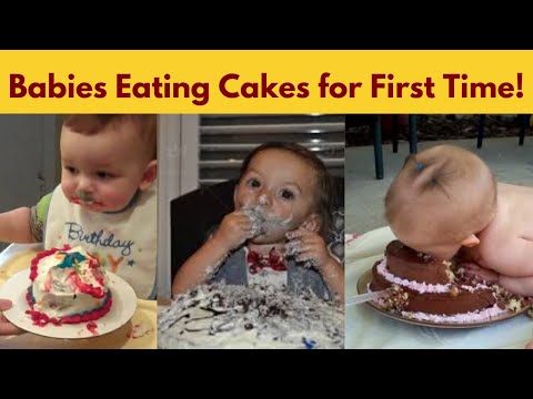 Baby First Cake Compilation Videos - Including Babies Smash Cake DISASTERS!