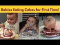 Baby First Cake Compilation Videos Including Babies Smash Cake DISASTERS