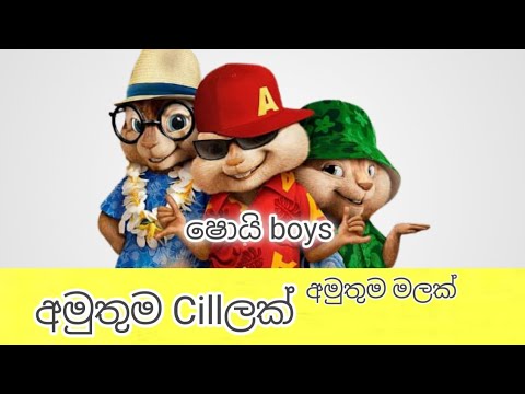 Amuthuma Chillak Soi Boys Song Chipmunks Version