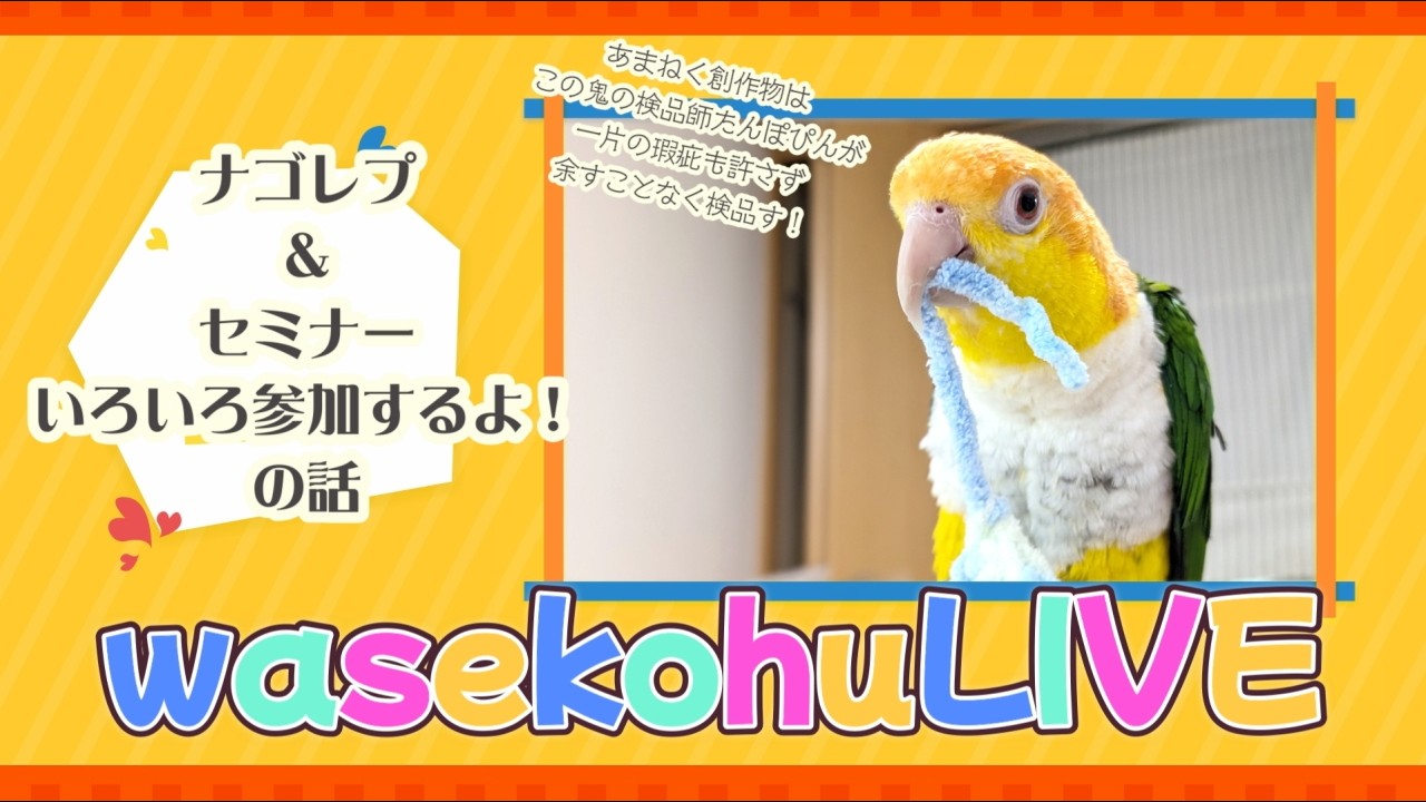 わせこふLIVE#268 　参加するイベントやセミナーの話をするよ！