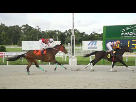 SUPER SEIT - Maroñas (URU) - 12/14/2024