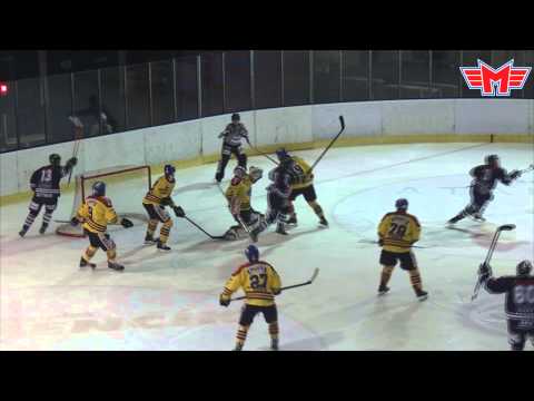 19. 2. 2015 HC Benátky nad Jizerou - ČEZ Motor České Budějovice 7:4 (2:1)