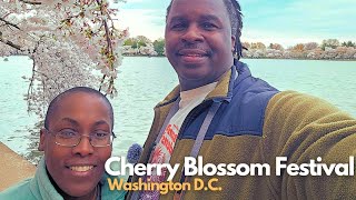 National Cherry Blossom Festival in Washington D.C.