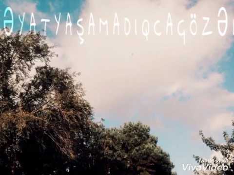 Qeza Boss men seni sevirem