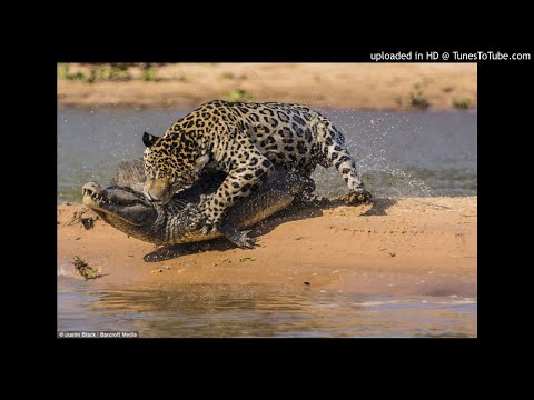 ES_The Merriest Christmas - Martin Carlberg