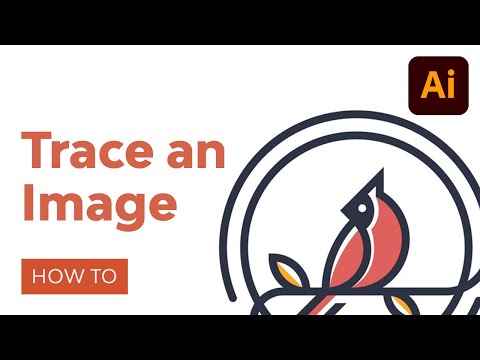 Photoshop for Beginners FREE COURSE