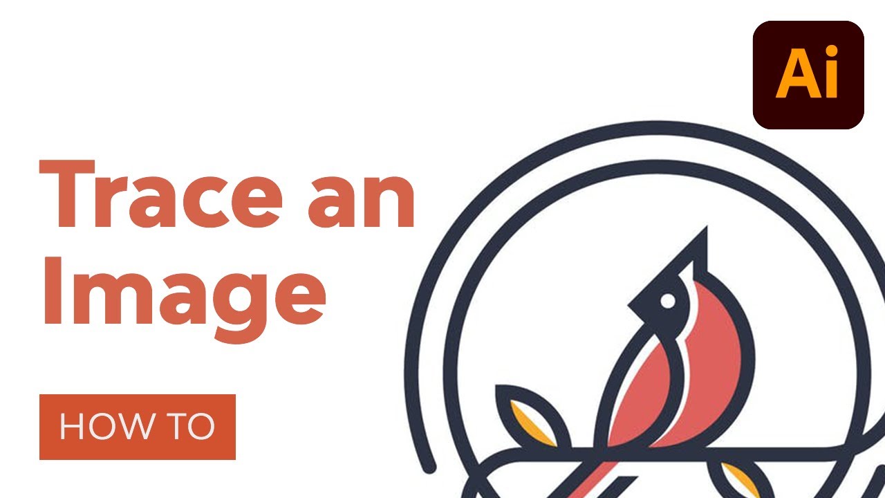 How to Trace an Image in Illustrator