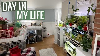 Day In My Life With 10+ Pets