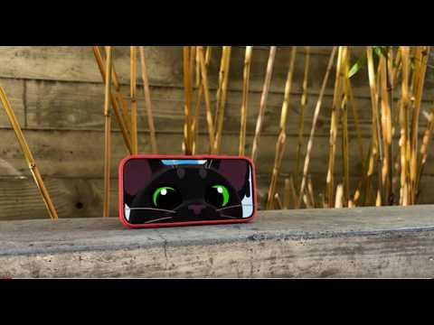 Little Kitty, Big City video thumbnail