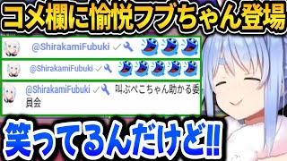 苦しんだり台パン発狂するぺこらを見て愉悦するフブちゃんw【ホロライブ切り抜き/兎田ぺこら】