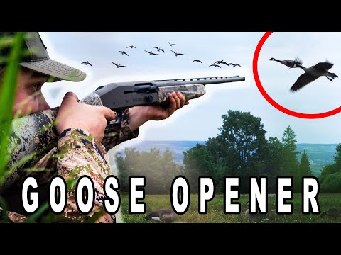 Mossberg 940 Pro Tactical SPX Shotgun Review