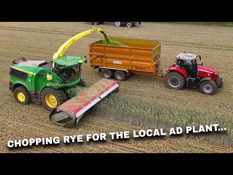 4Kᵁᴴᴰ Harvest 2025: Wholecrop rye harvest: John Deere 9800i, Massey & Case tractors + RW trailers