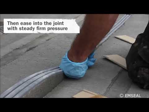 EMSEAL DSM Install   sem introdução