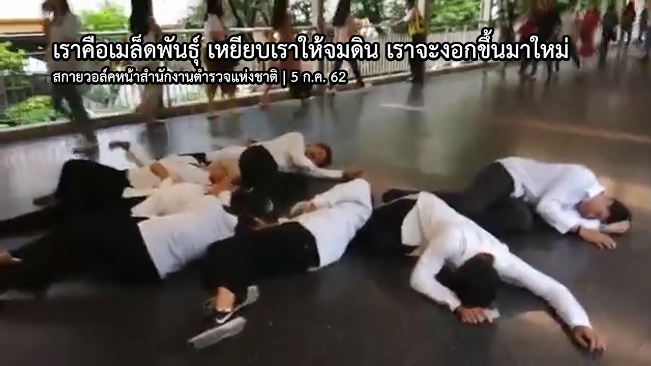 เราคือเมล็ดพันธุ์