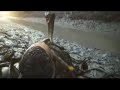Bollywood Hindi Movie Snake Attack Snake Attack Bollywood Hindi Movies