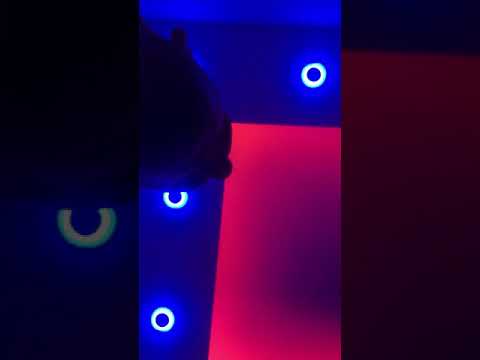 Asllan mustaf  per malishev