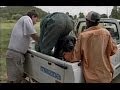 Mugabe White Farmers Should Never Be Allowed To Own Land In Zimbabwe
