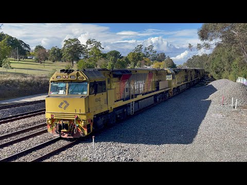 Aurizon 6042, 5029 & 6041 at East Maitland - 8/8/23