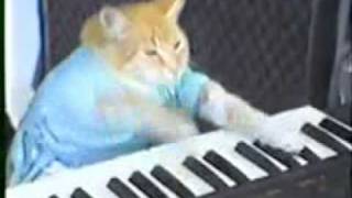 Клавиатурные домашние животные