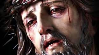 DAILY BIBLE VERSE | CHRISTIAN WHATSAPP STATUS VIDEO | 30 SECOND | 12 DAILY BIBLE VERSE | CHRISTIAN WHATSAPP STATUS VIDEO | 30 SECOND | 12