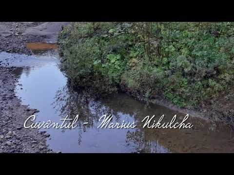 Cuvântul spune că Isus - Marius Nikulcha