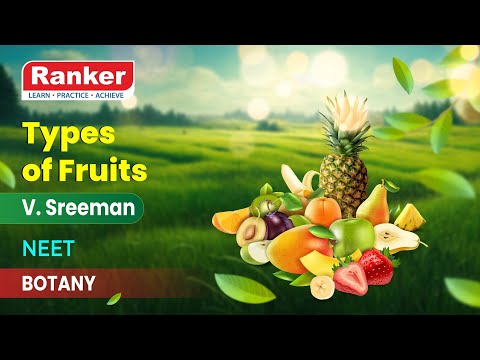 Structural Organization in Plants | Fruit | Types of Fruits | Botany | V. Sreeman | Rankers Learning