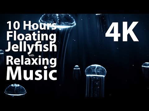 4K UHD 10 hour - Floating Jellyfish & Relaxing Music - calm, meditation, nature