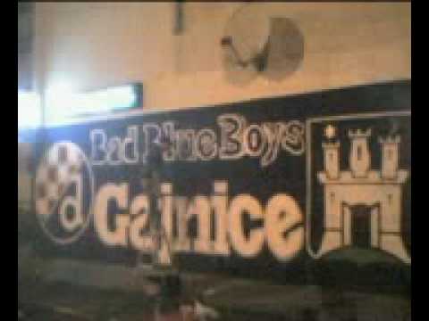 Renac - Gajnicka spika