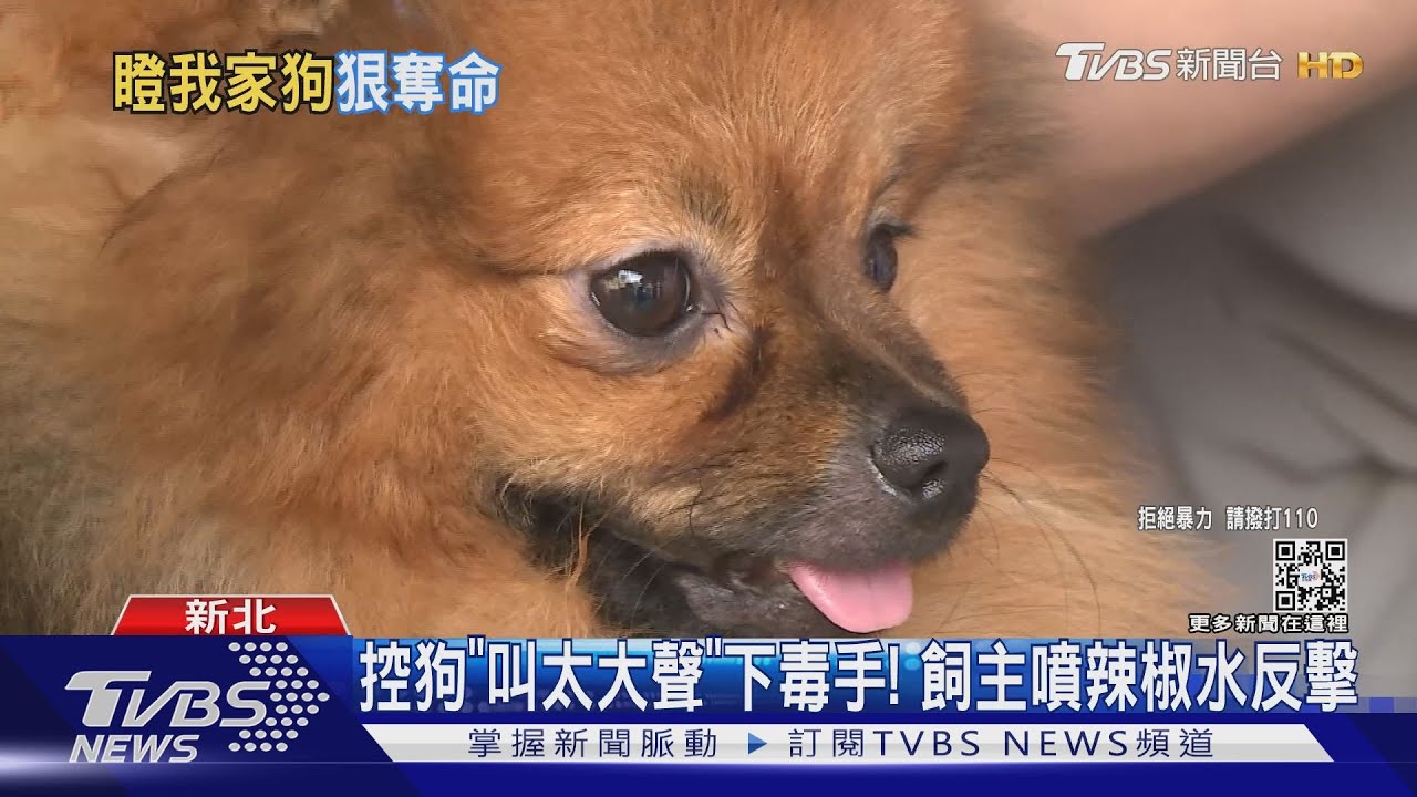 半夜遛狗被攻擊！男遭甩棍追打　愛犬重傷亡