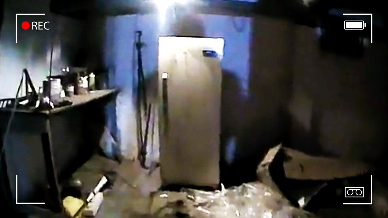 Cops Open Mom's Freezer & Immediately Arrest Her