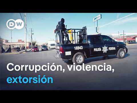 México: Guerra de los cárteles de la droga | DW Documental