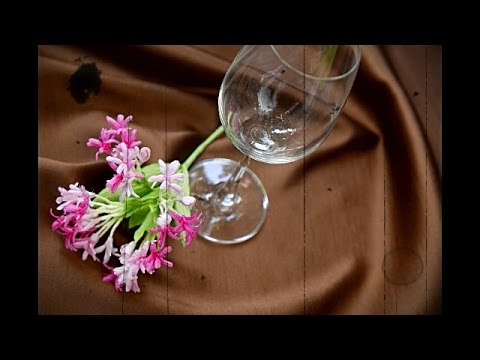 DIY craft tutorial How to make Combretum Indicum by crepe paper  Làm hoa trang leo giấy nhún