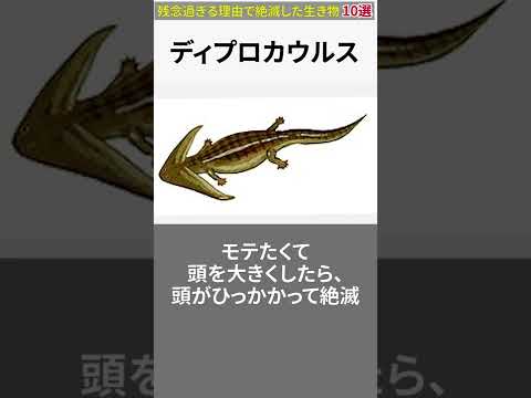 有史以前に絶滅した動物種のリスト - 定義