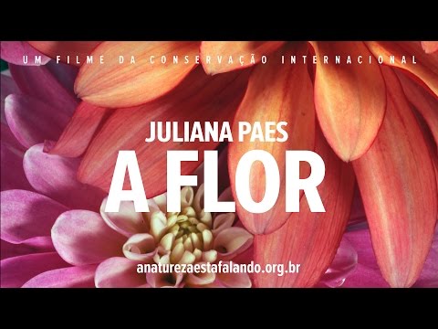 A Natureza está Falando | Juliana Paes é A Flor