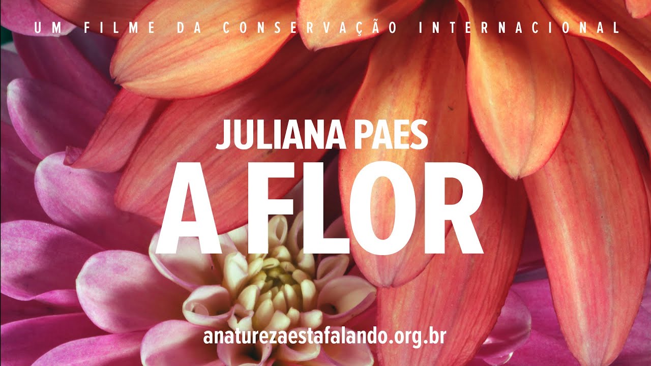 A Natureza está Falando | Juliana Paes é A Flor