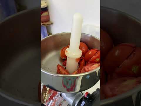 The Reber tomatoes squeezer Part 3. What does the purée look like?