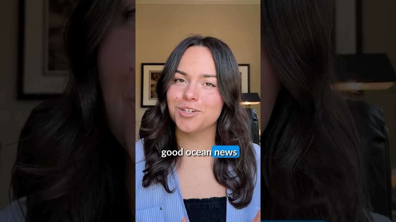 Good Ocean News from May