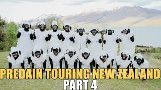 Download lagu PREDAIN PAKE BAJU DOMBA DI NEW ZEALAND.. LUCU BANGET ASHOYYY mp3